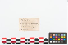 Etikett zu Bronzeknotenarmreif (NHMW-PRAE-026610)